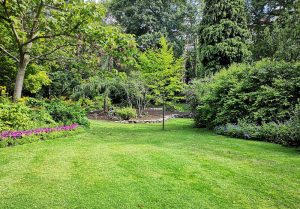 Optimiser l'expérience du jardin à Hagneville-et-Roncourt